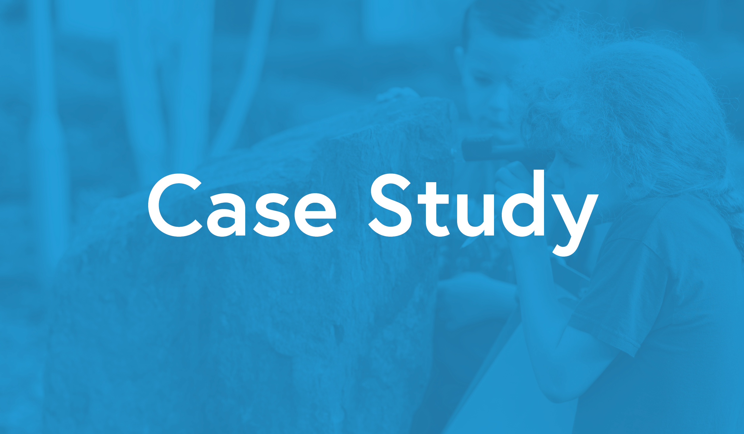 Case Study